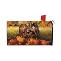 Briarwood Lane Thanksgiving Mailbox Cover - Standard Size - Harvest Turkey Fall for Thanksgiving Mailbox Cover