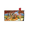 Briarwood Lane Fall Thanksgiving Mailbox Cover - Standard Size - Turkey and Pumpkins for Thanksgiving Mailbox Cover