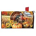 Briarwood Lane Fall Thanksgiving Mailbox Cover - Standard Size - Wild Turkey and Pumpkins for Thanksgiving Mailbox Cover
