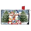 Briarwood Lane Winter Mailbox Cover - Standard Size - Snow Family for Winter Mailbox Cover