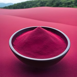 rangoli powder rani color 100 gram diwali floor decoration art muggu powder diwali decoration creativity rang for home navratri pongal pooja mandir