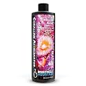 Brightwell Aquatics Coralline Accelerator Coralline Supplement, 500 ml