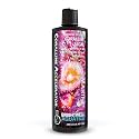 Brightwell Aquatics Coralline Accelerator Coralline Supplement, 250 ml