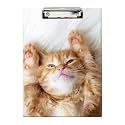 Britimes Clipboard, Hardboard, 12.6" x 8.9" Office School, Cat Cute