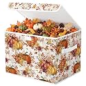 Briwooody Fall Pumpkin Storage Bin with Lid