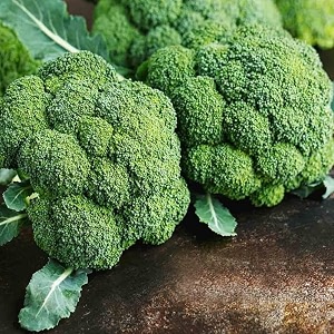 broccoli seeds for home gardening non-gmo  kitchen garden amp pots