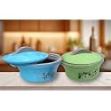 BROP® Stainless Steel Thermoware Casserole of Size 2L for Keeping Food hot with Easy to Carry Handle and PUF Insulation in Elegant Steel Finish (Roti Bowl-2000ml) (Roti Bowl-2500ml-Green+SkyBlue)