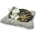 Brown &amp; Black Car Accessories for Dashboard - 18cm x 14cm Dashboard Accessories with Activated Charcoal Car Air Purifier, Car Dashboard Cat Toy