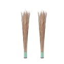 Brown Color Natural Coconut Leaf Grass Broom