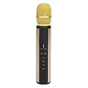 Brrnoo Handheld Microphone Wireless Karaoke Mic with DSP Noise Reduction for Singing Parties (Gold)