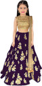BRSK TEX Girls Lehenga Choli Ethnic Wear Embroidered Lehenga, Choli and Dupatta Set (Multicolor, Pack of 1)