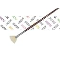 Brustro Artists Bristlewhite Fan Brush Series 1008 - Brush No. 2, Chungking Hog Bristle | Ideal for Oil, Acrylic Painting on Paper, Canvas, Fine Art Students and Professionals