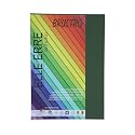 BRUSTRO Elle Erre Coloured Card Stock Craft Paper A4 Size 220 GSM Verdone Colour,Pack of 9 Sheets.Dark Green Shade|Ideal for school,graphic designer,poster artists with pastel,charcoal,calligraphy,pen