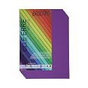 BRUSTRO Elle Erre Coloured Card Stock Craft Paper A4 Size 220 GSM Viola Colour, Pack of 9 Sheets. Purple Shade|Ideal for Schools,Graphic Designers,Poster Artists with Pastel,Charcoal,Calligraphy,Pen
