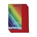 BRUSTRO Elle Erre Coloured Card Stock Craft Paper A4 Size 220 GSM Ciliegia Colour,Pack of 9 Sheets. Cherry Shade|Ideal for schools,graphic designers,poster artists with pastel,charcoal,calligraphy,pen