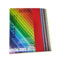 BRUSTRO Elle Erre Coloured Card Stock Craft Paper A4 Size 220 GSM Mixed Bright Colours 24 Sheets Pack (12 colors X 2 sheets) | Ideal for schools,poster artists with pastel,charcoal,calligraphy,pen