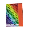 BRUSTRO Elle Erre Coloured Card Stock Craft Paper A4 Size 220 GSM Arancio Colour, Pack of 9 Sheets. Orange Shade|Ideal for schools,graphic designers,poster artists with pastel,charcoal,calligraphy,pen
