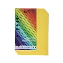 BRUSTRO Elle Erre Coloured Card Stock Craft Paper A4 Size 220 GSM Cedro Colour, Pack of 9 Sheets. Light Yellow Shade|Ideal for Schools,Poster Artists with Pastel,Charcoal,Calligraphy,Pen