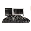 BRUSTRO Professional Pigment Based Fineliner Pen | Black, Box of 10, Tip Size - 0.05 mm | Archival Waterproof UV Resistant Ink,Comfortable Grip, Ideal For Mandala,Drawing,Artist Illustration,Sketching