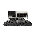 BRUSTRO Professional Pigment Based Fineliner Pen | Black, Box of 10, Tip sizes - 0.4 mm | Archival,Waterproof,UV Resistant Ink,Comfortable Grip, Ideal For Mandala,Drawing,Artist Illustration,Sketching