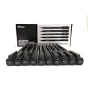 BRUSTRO Professional Pigment Based Fineliner Pen | Black, Box of 10, Tip sizes - 0.1 mm | Archival Waterproof UV Resistant Ink,Comfortable Grip, Ideal For Mandala,Drawing,Artist Illustration,Sketching