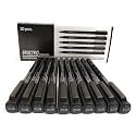 BRUSTRO Professional Pigment Based Fineliner Pen | Black, Box of 10, Tip size - 0.3 mm | Archival,Waterproof,UV Resistant Ink,Comfortable Grip, Ideal For Mandala, Drawing,Artist Illustration,Sketching