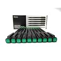 BRUSTRO Professional Pigment Based Fineliner Box of 10 (Green color tip of 0.5 mm, Archival Waterproof UV Resistant Ink) with Comfortable Grip , Ideal For Mandala, Writing, Sketching, Doodling, Journal & Outline