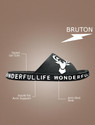 BRUTON Men Slides