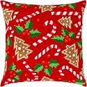 Brvsk Seasonal Stamped Cross-Stitch Kit for Adults and Beginners — Magical Christmas 16″ × 16″ with Clear, Precise Printed Design on Cotton Canvas; Includes 2 Needles, Yarn, and Easy-Read Chart