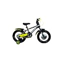 BSA Platoon 16T Kids Bicycle 