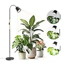 Bstrip F11D Standing Grow Light, 65" Dimmable Plant Light for Indoor Plants
