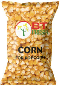 bt fresh popcorn kernels seeds  100 popping kernels extra soft popcorn makka makai 1 kg na popcorn 1 kg