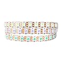 BTF-LIGHTING WS2812B IC RGB LED Strip,UL Listed,DC5V 3.28FT 100LED IP30