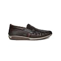 Buckaroo GOSA Genuine Leather Brown Casual Shoes