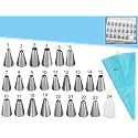 Bulfyss 23 Nozzles, 1 Coupler & 1 Reusable Silicone Icing Bag Kit for Cup Cake, Muffin, Cake Icing, Piping and Decoration (Total 25 Pieces with Storage Box)