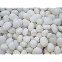20kg Unpolished White Marble Pebbles for Plants, Landscaping, Home Decor, Pebbles for Balcony 20kg (35-55 mm, White)