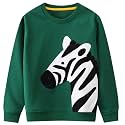 Bumeex Toddler Boys Crewneck Sweatshirts Cotton Long Sleeve Shirt Tops 2-7Y
