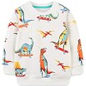 Bumeex Toddler Boys Crewneck Sweatshirts Cotton Long Sleeve Shirt Tops 2-7Y