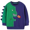 Bumeex Toddler Boys Crewneck Sweatshirts Cotton Long Sleeve Shirt Tops 2-7Y