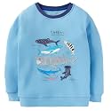 Bumeex Toddler Boys Crewneck Sweatshirts Cotton Long Sleeve Shirt Tops 2-7Y