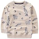 Bumeex Toddler Boys Crewneck Sweatshirts Cotton Long Sleeve Shirt Tops 2-7Y