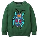 Bumeex Toddler Boys Crewneck Sweatshirts Cotton Long Sleeve Shirt Tops 2-7Y