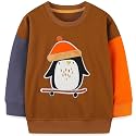 Bumeex Toddler Boys Crewneck Sweatshirts Cotton Long Sleeve Shirt Tops 2-7Y