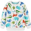 Bumeex Toddler Boys Crewneck Sweatshirts Cotton Long Sleeve Shirt Tops 2-7Y