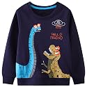 Bumeex Toddler Boys Crewneck Sweatshirts Cotton Long Sleeve Shirt Tops 2-7Y
