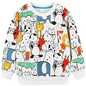 Bumeex Toddler Boys Crewneck Sweatshirts Cotton Long Sleeve Shirt Tops 2-7Y