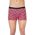 Bummer Printed Micro Modal Trunks Underwear for Men – Ultra Soft &amp; Breathable, 3 Times Softer Than Cotton, Anti-Bacterial, Stretchable for Ultimate Comfort &amp; Style, Pack of 1 (A Shark Tank Product)