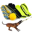 Bungee Tug Toy for Dogs - Outdoor Tree Rope Tether Tug 5 Pack - Spring Pole Dog Toy for Small to Large Breeds - Backyard Flirt Pole Exercise Toy