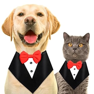 buraq dog tuxedo bandana ideal for dog birthday decorations adorable and comfortable pet apparel xs - black