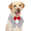 Buraq Dog Tuxedo | Bandana Set | Bow tie | Wedding Party Suit | for Small Medium Large | Male and Female Dogs | Golden Retriever Labrador shitzu Pug (L, Grey Luxe)